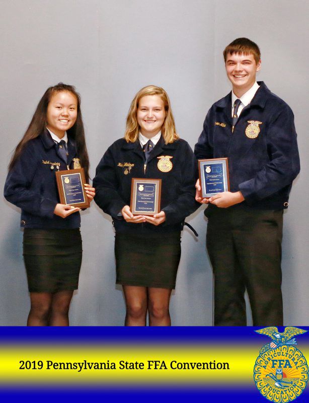 Food Science & Technology Individuals
